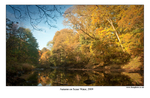 Autumn on Scaur Water, 2009