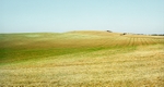 Lower Cadley's Farm