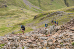 Borrowdale-927