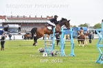 BPP_8648