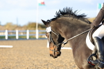 SBM_003351