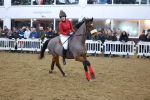 SBM_004858