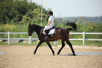 SBM_009995