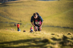 Sale Fell-469