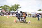 SBM_15338