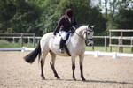Unaffiliated Dressage portfolio
