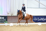 SBM_002739