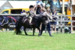 SBM_05872