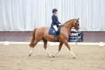 SBM_003378