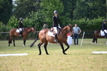 WJ6_5661