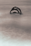 Marys Shell 03