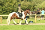 SBM_67422