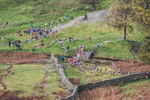 Stybarrow Dodd-102