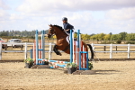 SBM_006426