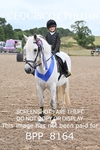 BPP_8164