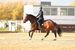 SBM_001251