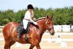SBM_011823