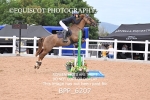 BPP_6207