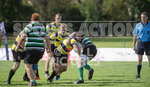 St Jacques v Tottonians-31