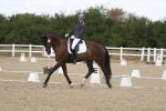 SBM_022012