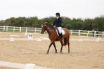 SBM_00449