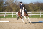 SBM_004412