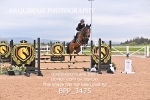 BPP_3475