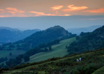 Castell Dinas Bran