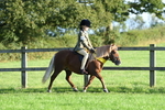 SBM_56402