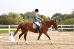 SBM_001755