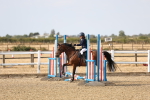 SBM_000023