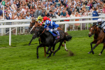 270724-Race 1-Alflaila-4686
