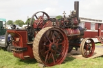 V1029
