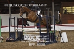 BPP_6508