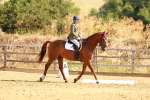 SBM_000403
