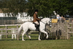 SBM_09635