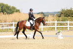 SBM_002527