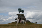 King George III & His Horse Statue portfolio