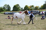 WJ6_6563