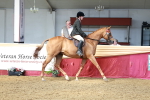 SBM_14889