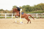 SBM_008371