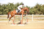 SBM_000951