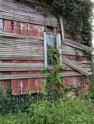 ManMade 181