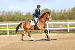 SBM_002979