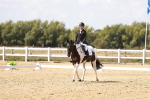 SBM_001165