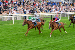 250725-Race 5-Sand Gazelle-0721