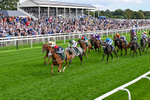 190826-Race 6-Miss Yechance-0721
