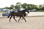SBM_08532