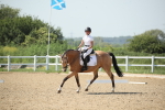 SBM_009982