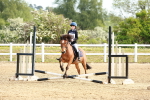 SBM_006590